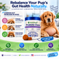 NutriPawz™ Advanced Dog Probiotics - Chewable Tummy & Digestive Health Treats