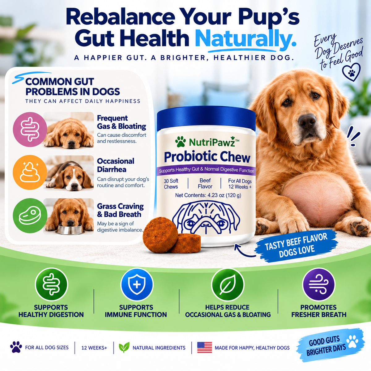 NutriPawz™ Advanced Dog Probiotics - Chewable Tummy & Digestive Health Treats